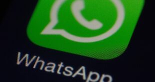 cara menyimpan video dari status wa tanpa aplikasi