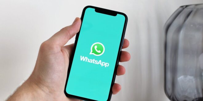 cara menghapus pesan di whatsapp untuk semua orang